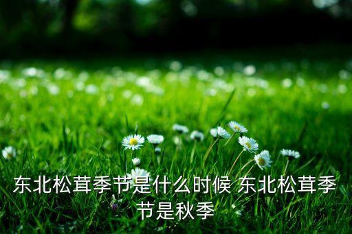 东北松茸季节是什么时候 东北松茸季节是秋季