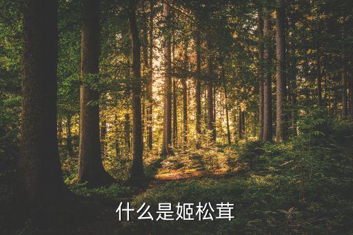 抖音麻辣毛蛋是什么梗